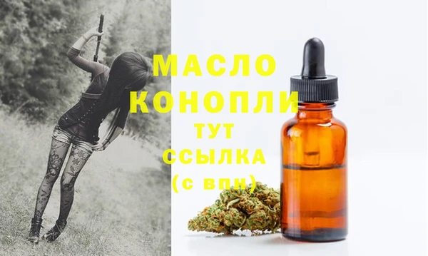 гашик Гусев