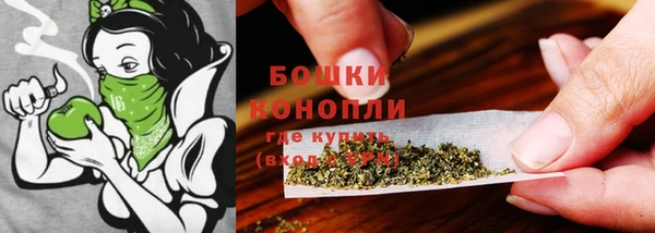 гашик Гусев