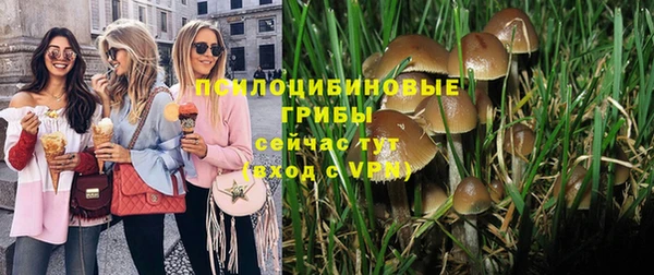 гашик Гусев