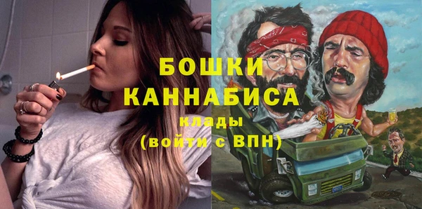 гашик Гусев