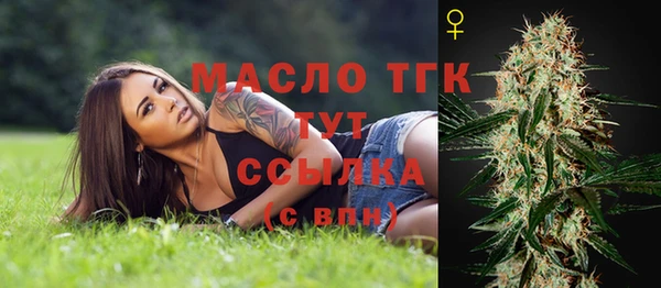 гашик Гусев