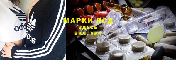 гашик Гусев