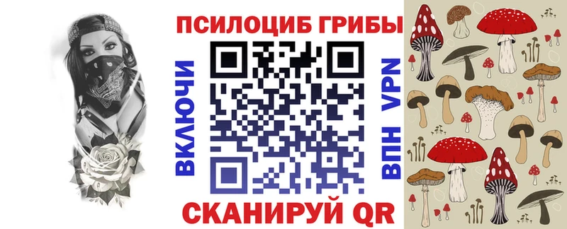 Галлюциногенные грибы Psilocybe  Тамбов 
