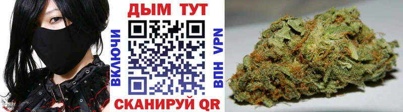 Бошки Шишки план  Тамбов 